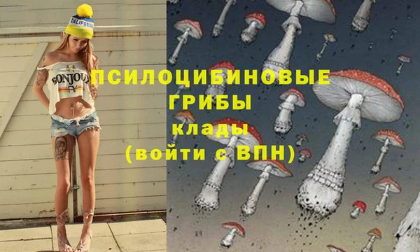 мескалин Магадан