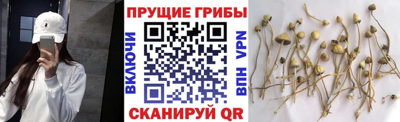 Псилоцибиновые грибы прущие грибы  ссылка на мегу зеркало  Микунь 